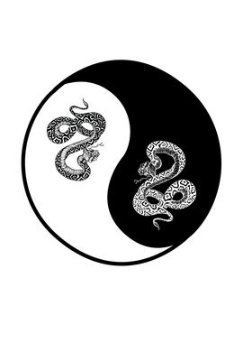 Yin and yang snake design