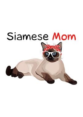 siamese cat