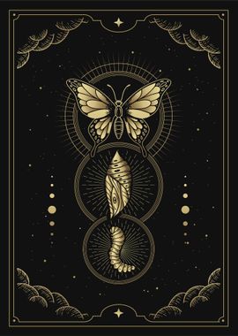 Metamorphosis tarot card