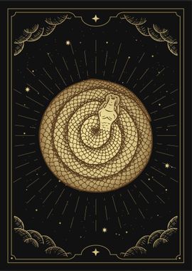 Snake circle in tarot card