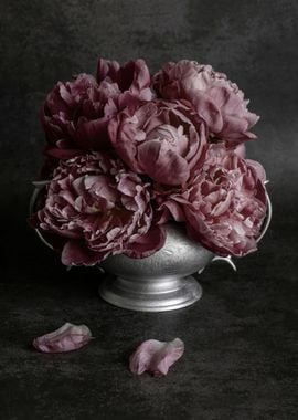 Fresh pink peonies