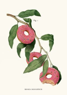 Donut Plant