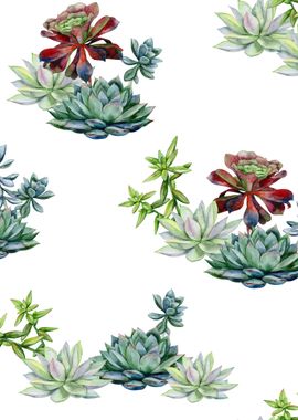 Watercolor Succulent 10