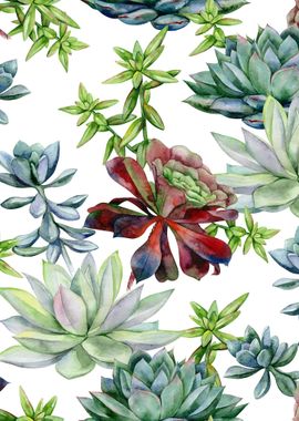 Watercolor Succulent 01