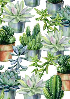 Watercolor Succulent 02