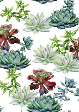 Watercolor Succulent 09