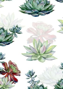 Watercolor Succulent 04