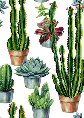 Watercolor Succulent 08