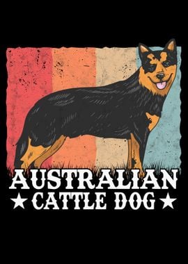 Australian Cattle Dog