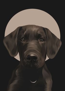 Black Dog 4