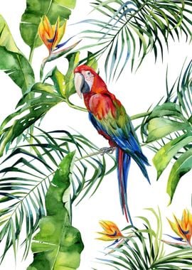 Watercolor Tropical Pat 16