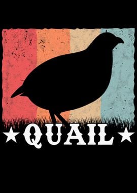 Quail Retro Breeder Hen