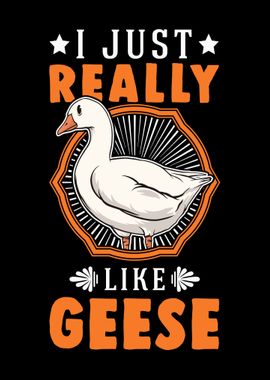 I Just Really Like Geese