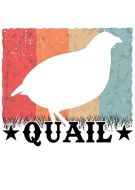 Quail Retro Breeder Hen