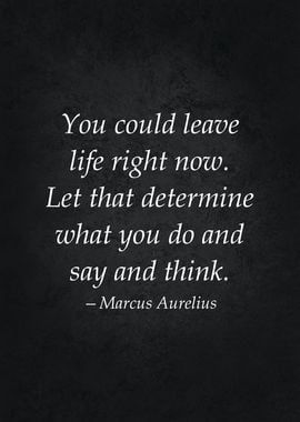 Life Stoicism Quote