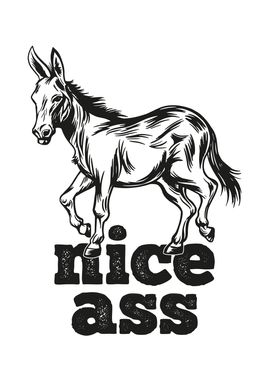 Nice Ass Funny Donkey