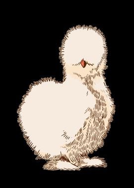 Silk Chicken Silkie