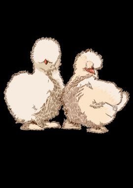 Silk Chicken Silkie