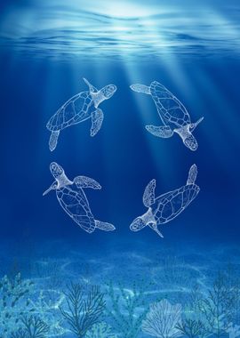 Turtles of the Ningaloo