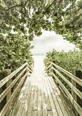 Bridge to the beach