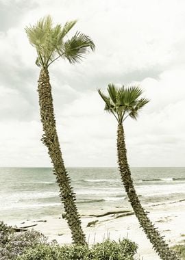 Palm trees by the sea 