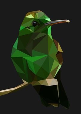 Small green bird