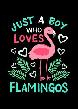 Flamingos Flamingo Lover