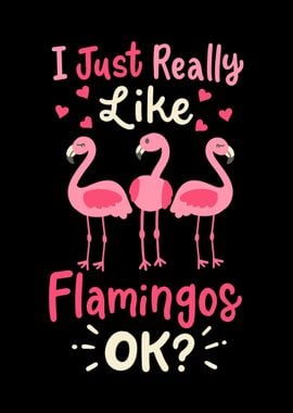 Flamingos Flamingo Lover