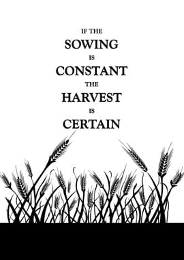 Constant Sowing