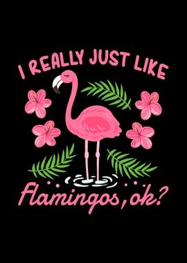 Flamingos Flamingo Lover