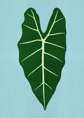 Leaf 04