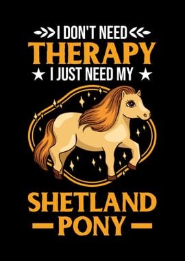 Shetland Pony Therapy