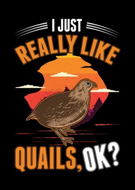 I Just Really Like Quails