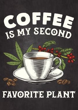 Coffee Weed Plant