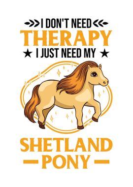 Shetland Pony Therapy