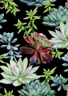 Black Succulent Pattern 01