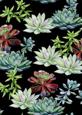 Black Succulent Pattern 09