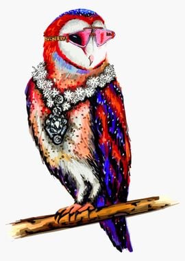 Fashion Owl Bird