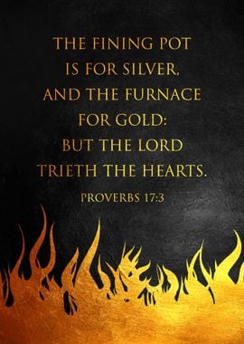 Proverbs 17 3