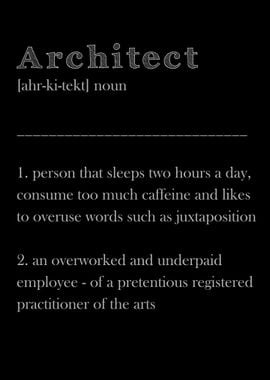 Funny Architect Definition