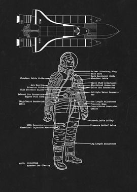 Astronaut ready for flight