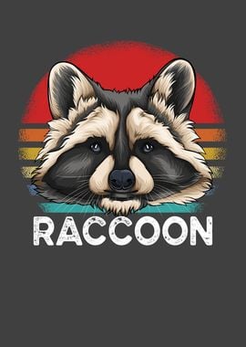 Racoon