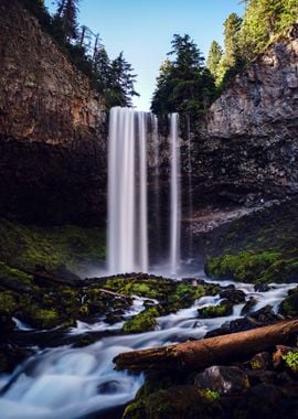 Waterfall in Forest Nature