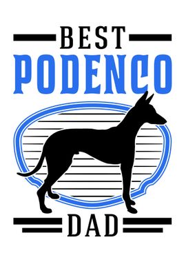 Best Podenco Dad Canario