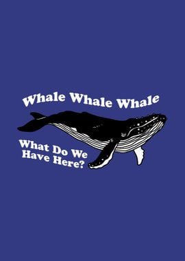 Whale Whale Whale