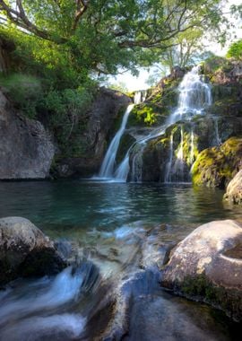 Waterfall in the Forest