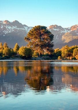 Mountains at Lake Forest