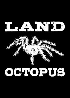 Tarantula Land Octopus