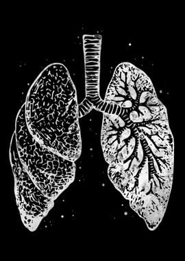 Lung Anatomy