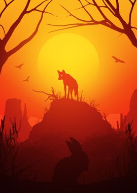 Wolf coyote sunset